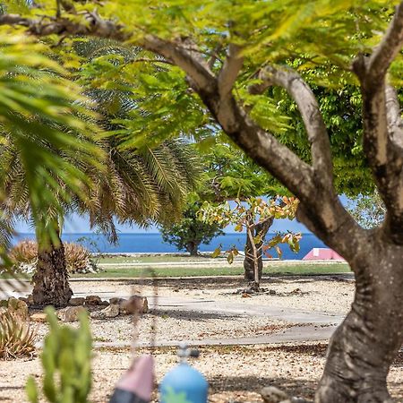 Sand Dollar Bonaire Kralendijk  Exterior photo